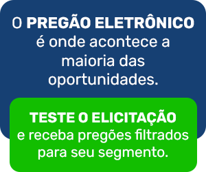 Caixa-inline-300x250-Artigo-4 Modalidades de Licitação: conheça as modalidades para o seu perfil de negócio