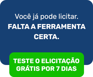 Caixa-inline-300x250-Artigo-5 O que é um licitante? Faturar vendendo para o governo não é complicado seguindo estas instruções!