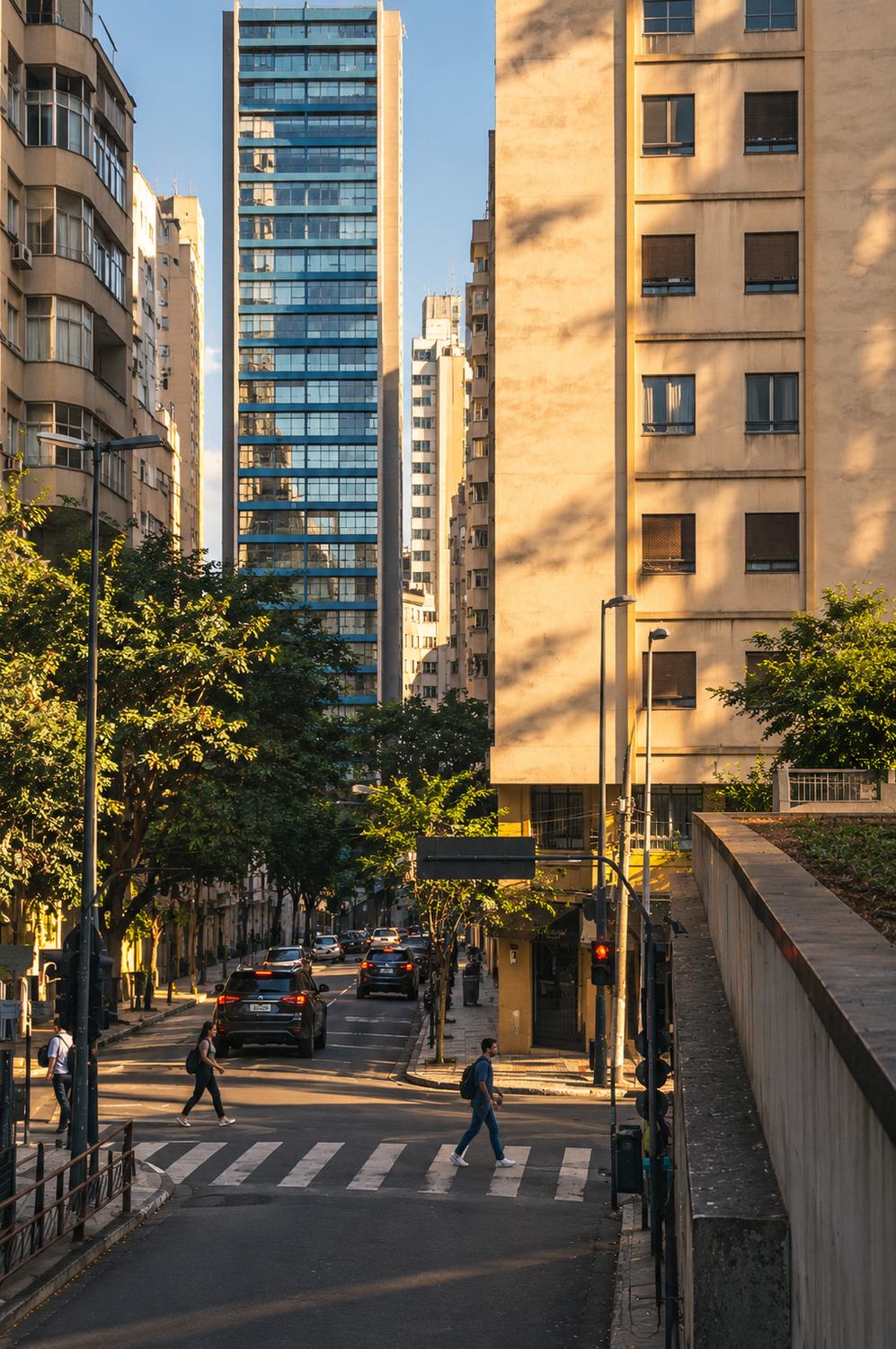 novo levantamento dos números dos impactos no mercado de licitações